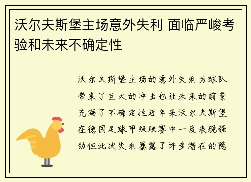 沃尔夫斯堡主场意外失利 面临严峻考验和未来不确定性
